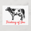 Search for funny cow puns postcards Country