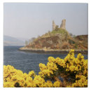 Search for medieval tiles Landscape