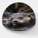 Search for river otter Baby