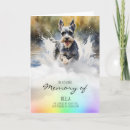 Search for schnauzer cards Puppy