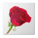 Search for red rose tiles Valentine