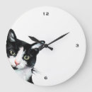 Search for cat clocks Black and white