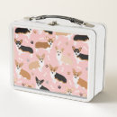 Search for dog lunch boxes corgi
