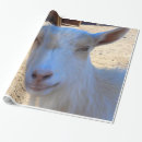 Search for goat wrapping paper Country
