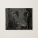 Search for labrador puzzles Cute dog