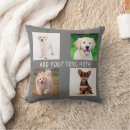 Search for artistic pillows Elegant