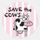 Search for stickers Cute cow