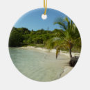 Search for antigua ornaments Tropical