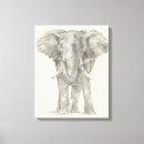 Search for elephant canvas prints Animals
