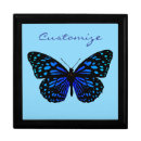 Search for flying butterflies gift boxes Insect