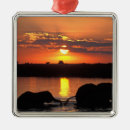 Search for africa ornaments Loxodonta africana