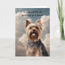 Search for yorkie pet memorials Sympathy