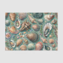 Search for seashell tissue paper Shells