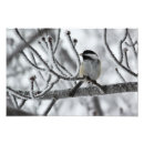 Search for vintage winter scene posters Photography