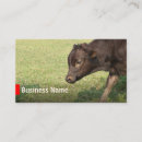 Search for ranch business cards Beef