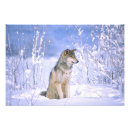 Search for winter scene posters Cold