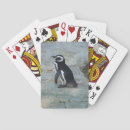 Search for penguins playing cards Bird