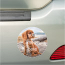 Search for photographer bumper stickers Vehicle