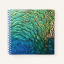 Search for peacock notebooks Feathers