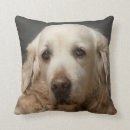 Search for dog face pillows Cute