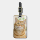Search for orange tabby cat gifts Kittens