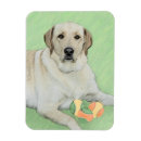 Search for tennis ball magnets Yellow