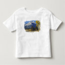 Search for grand teton tshirts Peak