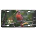 Search for north carolina license plates Nature