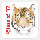 Search for tiger stickers Big cat