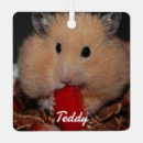 Search for mouse ornaments Animal