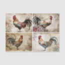 Search for chicken tissue paper Watercolor