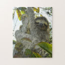 Search for sloth puzzles Adorable
