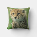 Search for cheetah pillows Wild animals