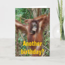 Search for funny 40th for women birthday cards Humor