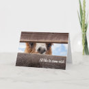 Search for funny prison cards Jail