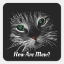 Search for cat name stickers Unique