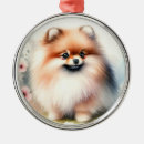 Search for pomeranian ornaments Cute