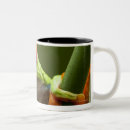 Search for costa rica mugs Nature