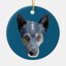 Search for blue heeler ornaments Puppy