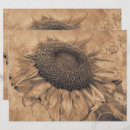 Search for vintage craft supplies Sepia
