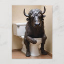 Search for toilet postcards Weird
