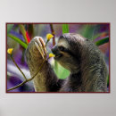 Search for sloth posters Mammal