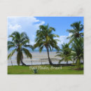 Search for sao paulo postcards Tropical