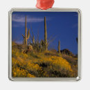 Search for pipe organ ornaments Cacti