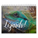 Search for lizard gifts Gecko