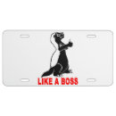 Search for meme license plates Cool