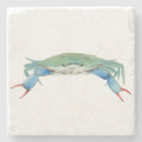 Search for crab coasters Animal