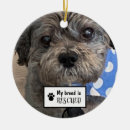 Search for dog breed ornaments Rescue