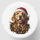 Search for golden retriever favors Weimaraner