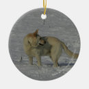 Search for white german shepherd ornaments Snow